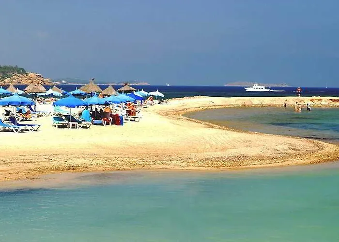 Sirenis Club Siesta Hotel 4*